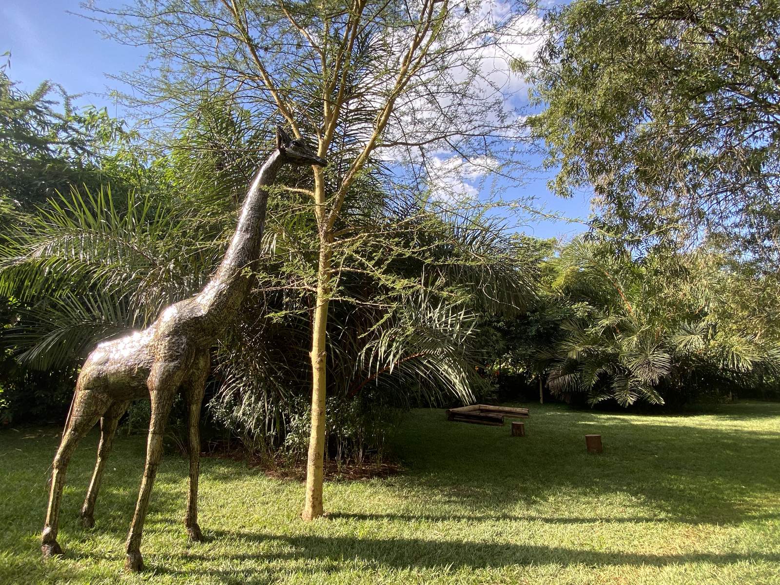 Maarifa Park - Greenery